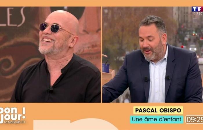 Pascal Obispo veröffentlicht eines Abends eine große Datei…