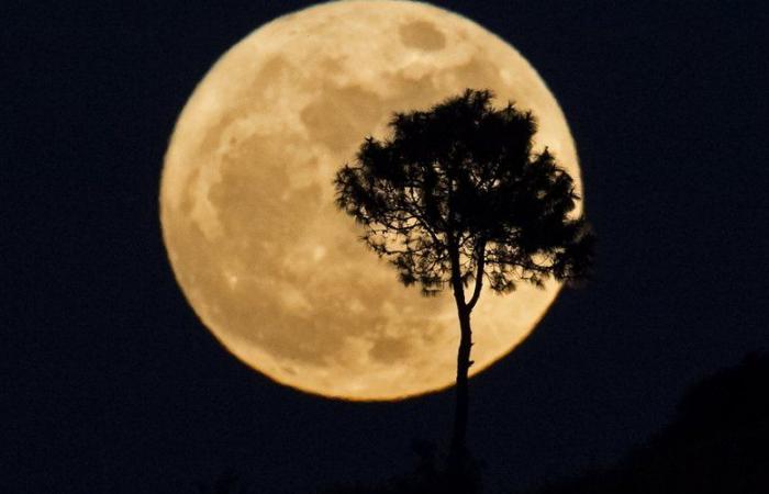 Super Beaver Moon: Was ist dieses Phänomen, wie kann man es beobachten, zu welcher Zeit … Alles, was Sie über den letzten Supermond des Jahres wissen müssen