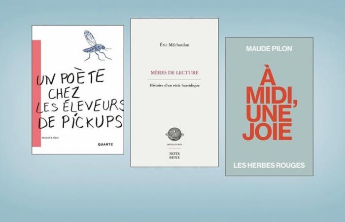 Drei Essays im Rampenlicht – Revue Les libraires