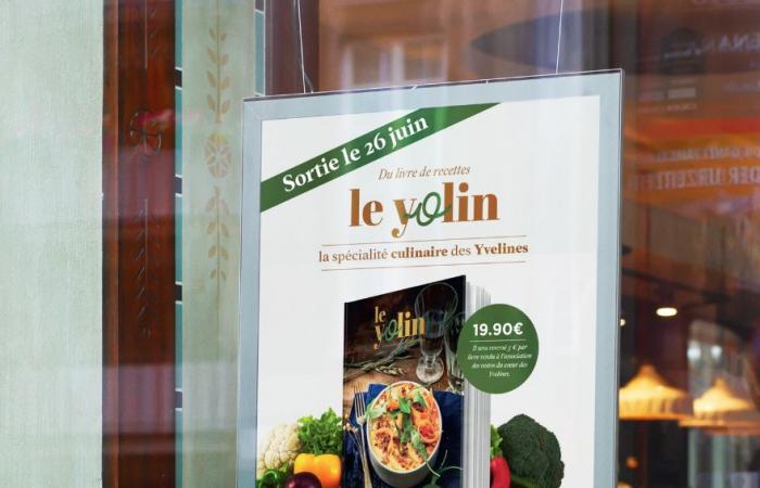 Rezepte aus den 259 Gemeinden von Yvelines im Yolin-Buch