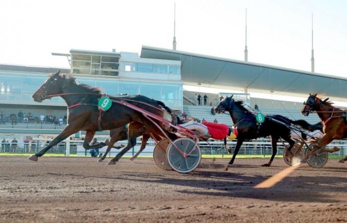 15.11.2024 in Borély – Finale der 5-Jährigen: Javanaise Turgot sieht Triple