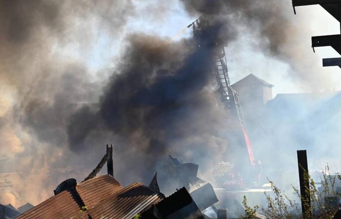 „Ein Teil der lokalen Wirtschaft ist in Rauch aufgegangen“: Das Sägewerk Meuzac in Haute-Vienne wurde bei einem Brand zerstört