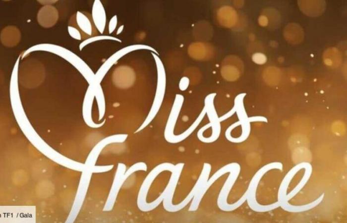 FOTOS – Miss France 2025: Entdecken Sie die offiziellen Porträts der 30 regionalen Misses