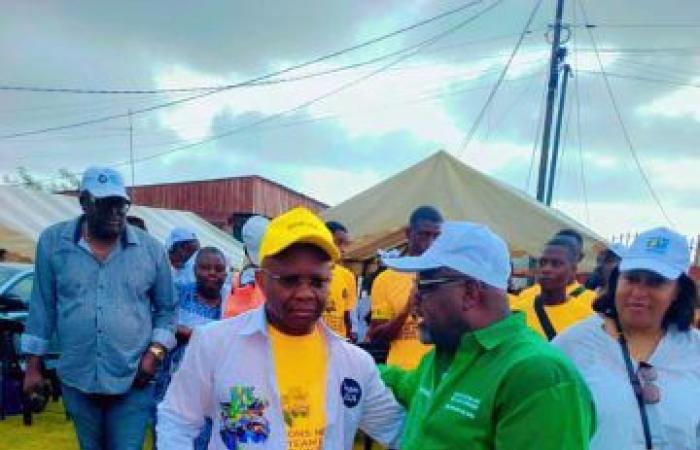 Referendum 2024: Das „Team LGA“ hat in Libreville das Terrain für das JA gepflügt | Gabonreview.com