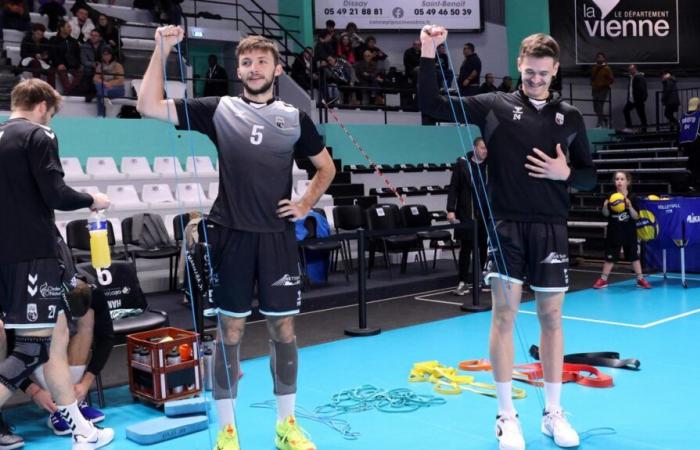 DIREKT. Alterna Stade Poitevin trifft auf Toulouse um einen Platz auf dem Podium im MSL