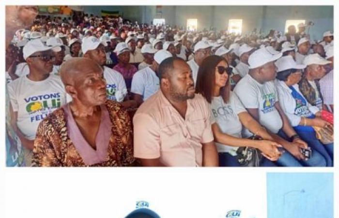 Referendum 2024: Brigitte Onkanowa schließt die „JA“-Kampagne in Okondja ab | Gabonreview.com