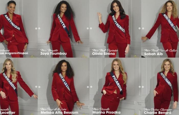 Die offiziellen Porträts der Miss-France-Kandidatinnen wurden enthüllt