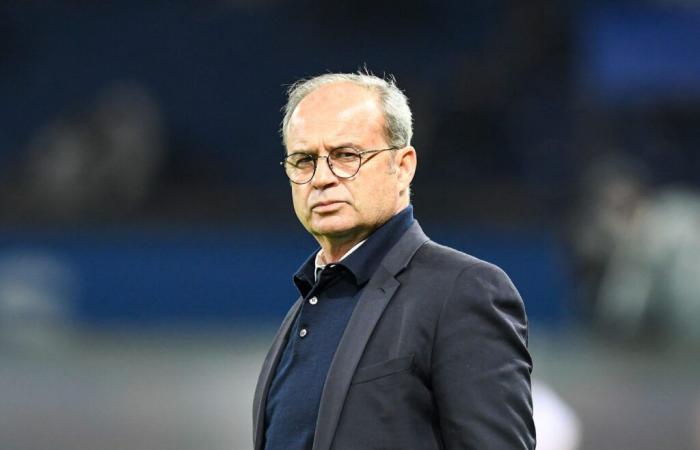 Mercato – PSG: Luis Campos liebt ihn, Katar muss 25 Millionen Euro aufgeben