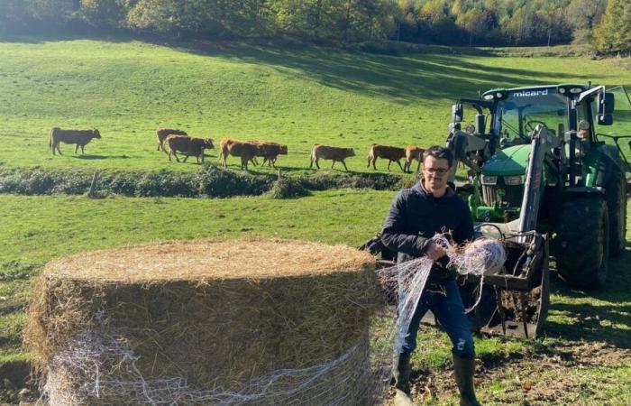 „Die Zukunft des Berufsstandes ist in Gefahr“: In Haute-Vienne sind die Landwirte bereit, zu mobilisieren