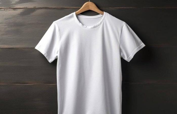 Das erste T-Shirt aus recyceltem Polyester aus Textilien kommt aus Puy-de-Dôme