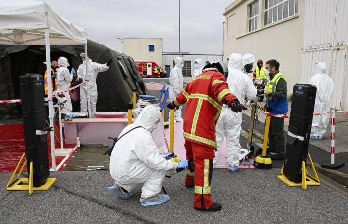 „Der Grad des Realismus wurde ziemlich weit gehoben“