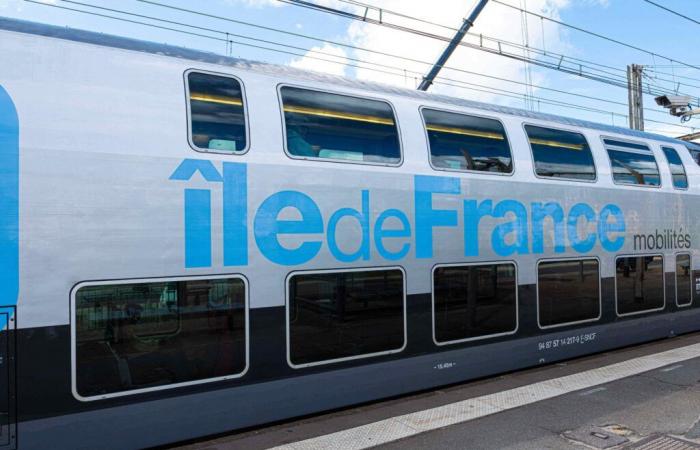 Nanterre: Ein 19-jähriger junger Mann wird von einem RER angefahren, ein RATP-Agent befindet sich in Polizeigewahrsam