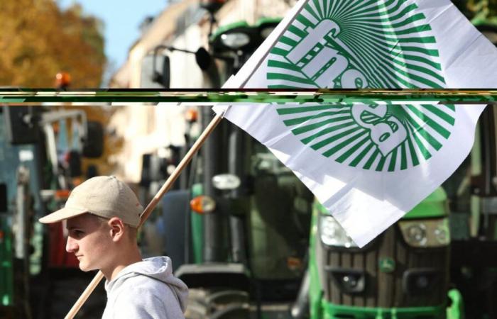 Bei einer am Montag in Bas-Rhin geplanten Demonstration ist die Europabrücke „völlig blockiert“