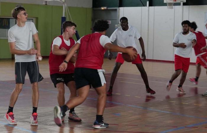 Hochschulsport: 3 Goldmedaillen in Basketball, Fußball und Handball für Le Creusot-Studenten