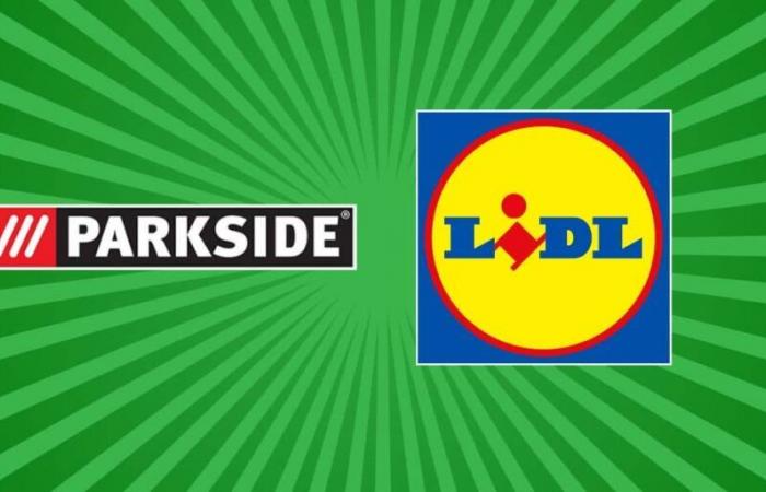 Lidl senkt ab Montag die Preise für seine Parkisde-Einführung in den Läden