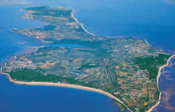 Die Saison in Charente-Maritime und auf der Île de Ré