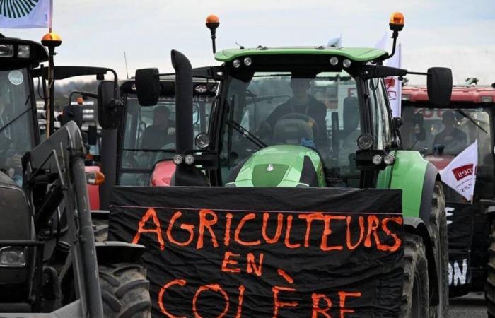 Bauern riefen in der Vendée zu einer Demonstration gegen den Mercosur auf