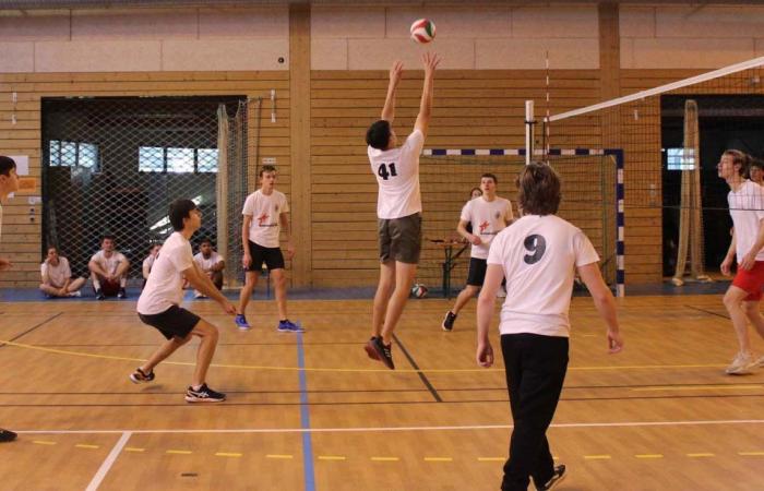 Hochschulsport: 3 Goldmedaillen in Basketball, Fußball und Handball für Le Creusot-Studenten