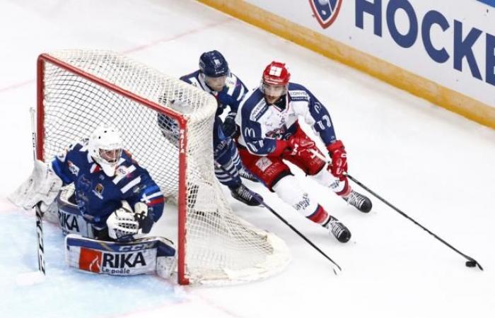 Die Brûleurs de Loups de Grenoble streben den Einzug in die letzte Gruppe des Continental Cups an