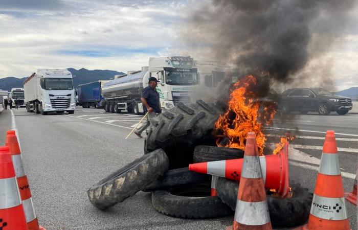 Wut der Landwirte: „Wir werden diesen Dienstag die Grenze zu Spanien blockieren“, kündigt die ländliche Koordination der Pyrénées-Orientales an