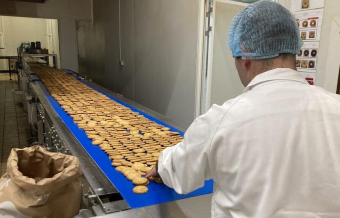 In Ardin erobert das „französische Butter-Shortbread“ die Vereinigten Staaten