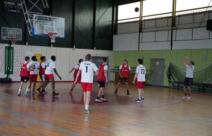 Hochschulsport: 3 Goldmedaillen in Basketball, Fußball und Handball für Le Creusot-Studenten