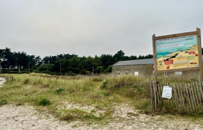 die Geißel des Diebstahls von Zäunen, die die Düne in diesem Ferienort an der Loire-Atlantique schützen