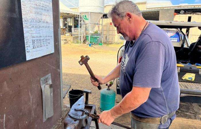 PORTRÄT. Eric Fontaine, Hufschmied auf La Réunion, übt seine Kunst seit fast 42 Jahren aus