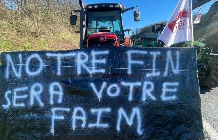 „Unseren Landwirten geht es in der Mosel nicht gut“, schätzt Laurence Adloff von der MSA Lothringen