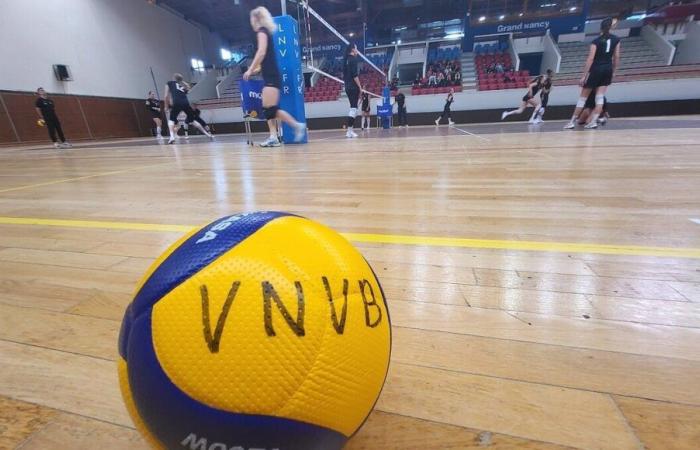 Frauen-Volleyball: Um seine epische Reise im Europapokal fortzusetzen, startet der VNVB einen Spendenaufruf