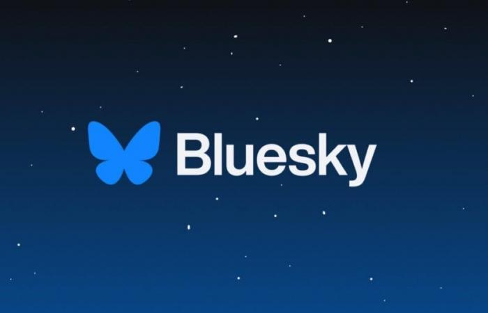 Bluesky setzt seinen kometenhaften Aufstieg mit mehr als einer Million zusätzlicher Benutzer innerhalb von 24 Stunden fort