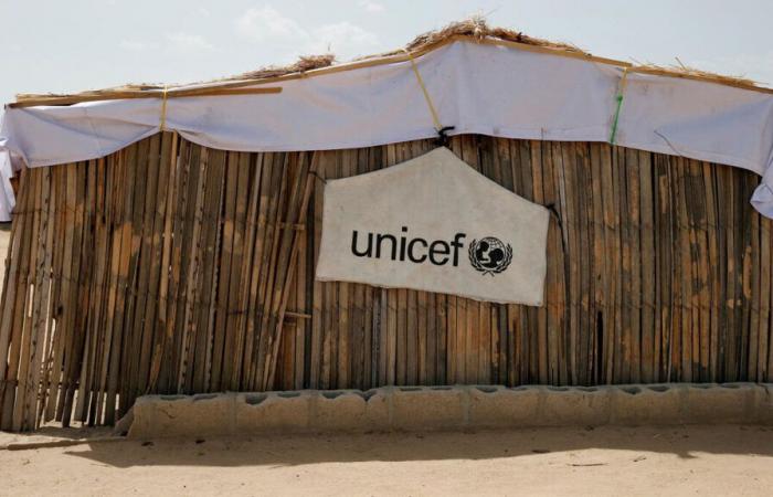 Vor sechs Jahren von Dschihadisten entführt, gelingt einer Unicef-Krankenschwester die Flucht nach Nigeria