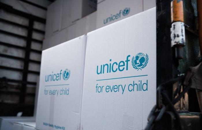 UNICEF-Krankenschwester entkommt nach sechs Jahren Gefangenschaft mit Dschihadisten