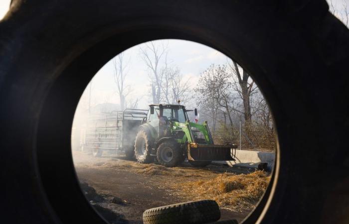 In Isère sind mehrere Kundgebungen gegen das EU-Mercosur-Freihandelsabkommen geplant