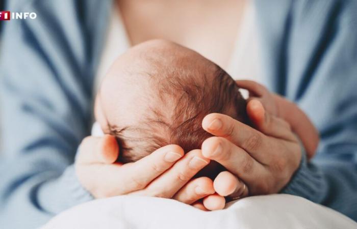 „Ich wollte drei, aber jetzt will ich keine mehr“: Warum die Franzosen immer weniger Kinder bekommen