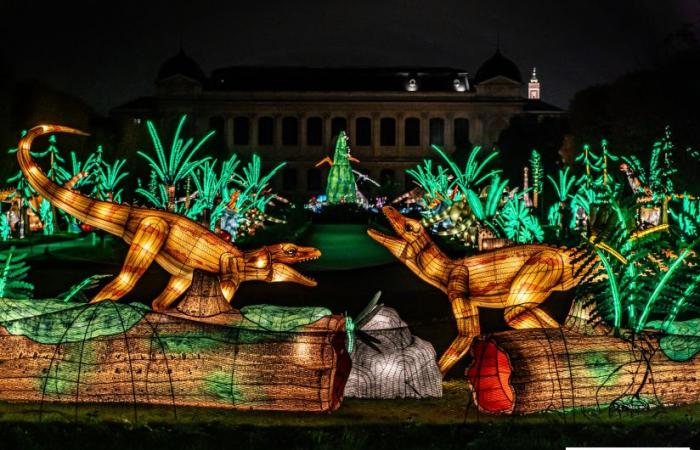 Jura im Prozess der Erleuchtung: das Lichterfest 2024-2025 im Jardin des Plantes – Fotos