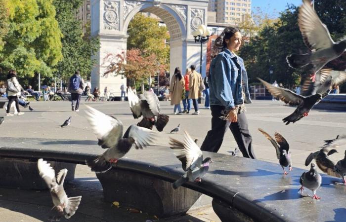 New York zum kleinen Preis auf den Spuren von Harry und Sally