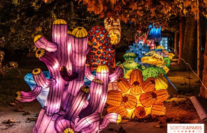 Jura im Prozess der Erleuchtung: das Lichterfest 2024-2025 im Jardin des Plantes – Fotos