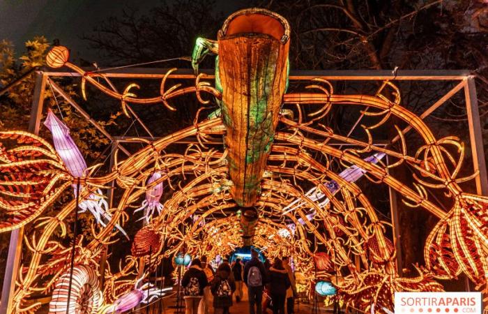 Jura im Prozess der Erleuchtung: das Lichterfest 2024-2025 im Jardin des Plantes – Fotos