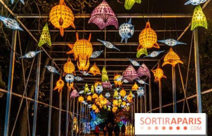 Jura im Prozess der Erleuchtung: das Lichterfest 2024-2025 im Jardin des Plantes – Fotos