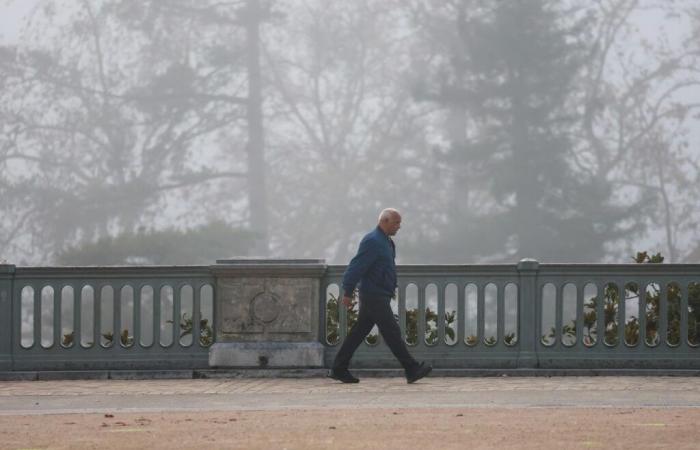 Wind, Regen, winterliche Temperaturen und Schnee stehen für nächste Woche auf dem Programm