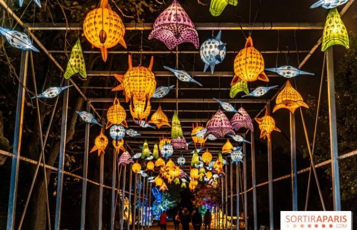 Jura im Prozess der Erleuchtung: das Lichterfest 2024-2025 im Jardin des Plantes – Fotos