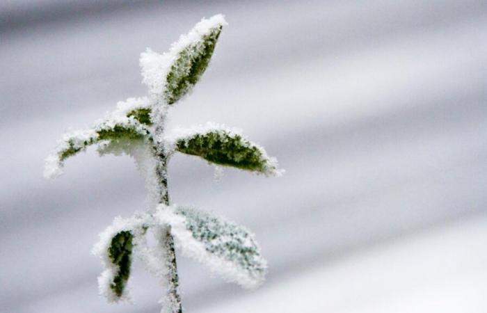 Mit der Rückkehr von Schnee und Kälte sieht das Wetter diese Woche winterlich aus