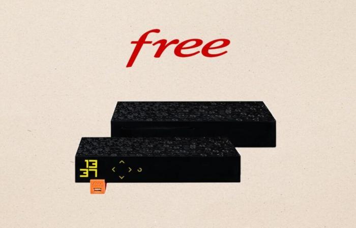 Wenn Free sein Freebox Revolution Light Fiber-Angebot zu diesem Preis anbietet, müssen Sie sich dafür entscheiden