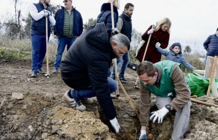 Bouches-du-Rhône. Glenn Viel, Drei-Sterne-Koch, bekennt sich zu der vom Feuer zerstörten Montagnette