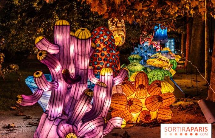 Jura im Prozess der Erleuchtung: das Lichterfest 2024-2025 im Jardin des Plantes – Fotos