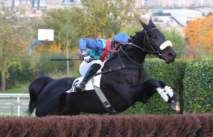 Serge-Landon-Preis – Herbst-Grand-Prix: Blue Losange hat die Oberhand