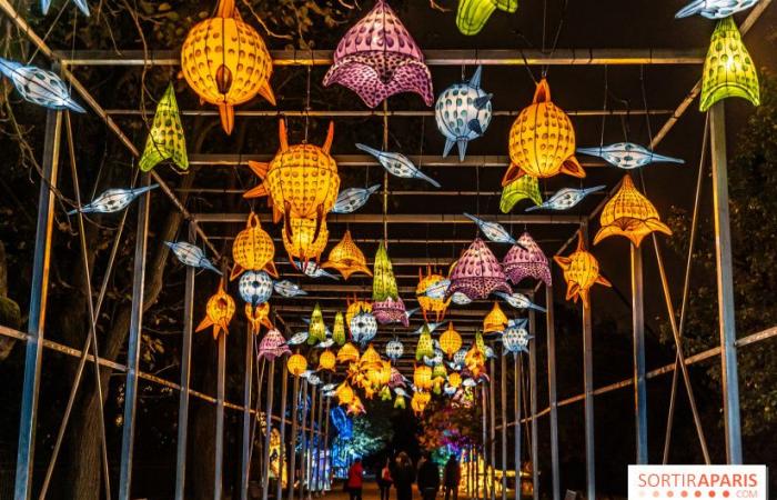 Jura im Prozess der Erleuchtung: das Lichterfest 2024-2025 im Jardin des Plantes – Fotos