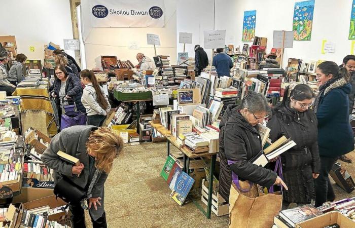 In Guingamp beginnt die Diwan-Schulbuchmesse „sehr gut“