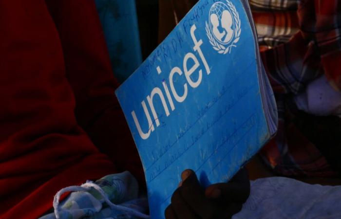 Unicef-Krankenschwester entkommt nach sechsjähriger Gefangenschaft mit Dschihadisten